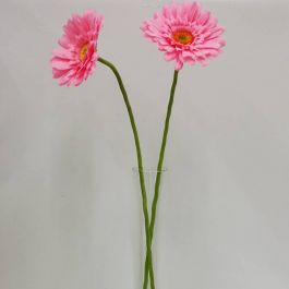 Gerbera Rosa  | ✓ Mercería Parisina