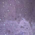 Organza Estrellas Liso Morado Lila