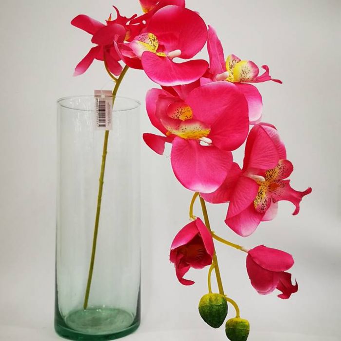 Orquídea Beauty  | ✓ Mercería Parisina