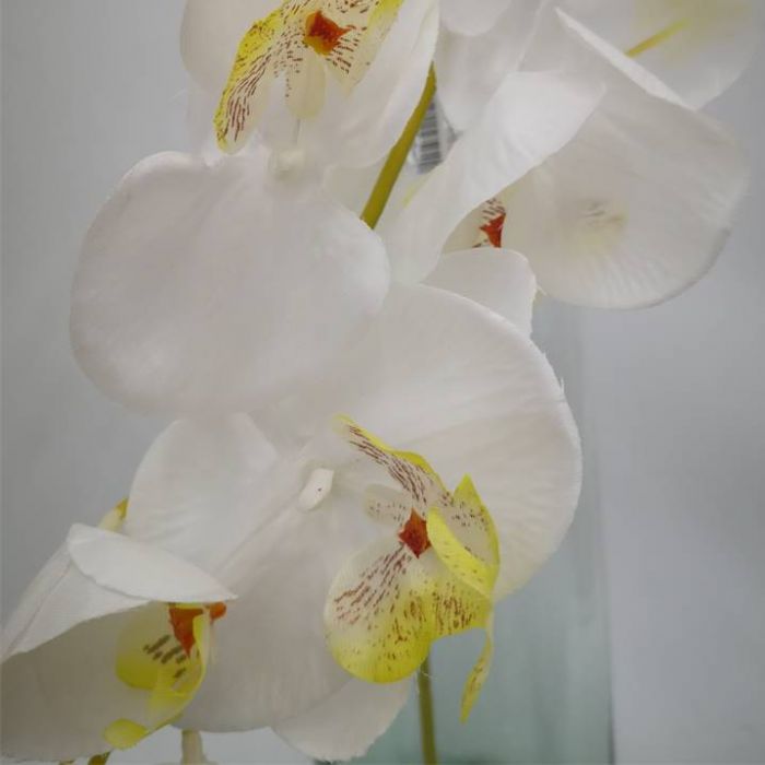 Orquídea Blanca  | ✓ Mercería Parisina