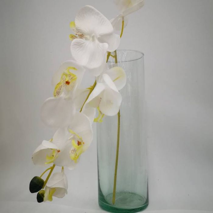 Orquídea Blanca  | ✓ Mercería Parisina