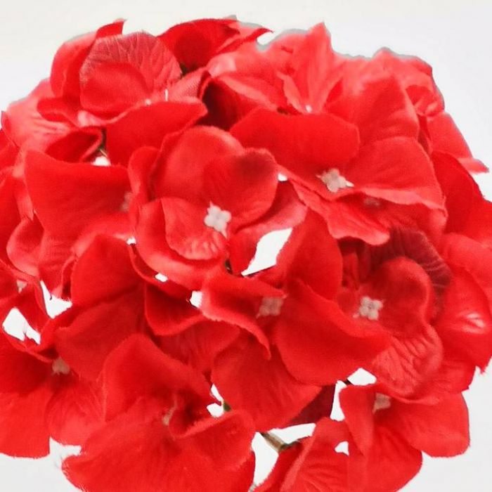 Hortensia Roja  | ✓ Mercería Parisina